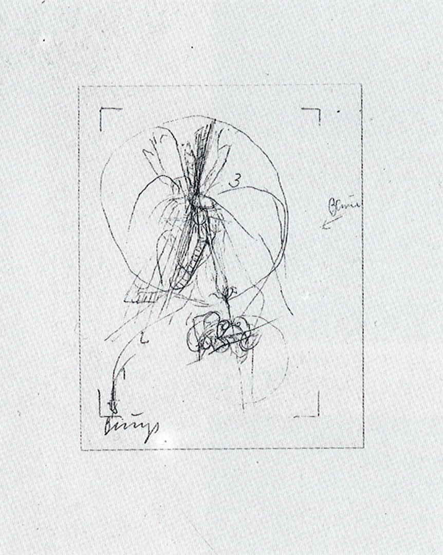 博伊斯 -  Zeichnungen祖抄本马德里·冯·达·芬奇，1975年，granolithograph