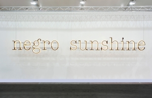 Glenn Ligon - Warm Broad Glow II, 2011