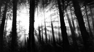 Robert Longo - Untitled (Sindelfingen, July 23 2009, For Kurt, Et in Aracadia Ego)， 2009