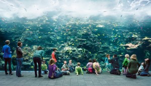 Thomas Struth -水族馆，亚特兰大，佐治亚州，2013年