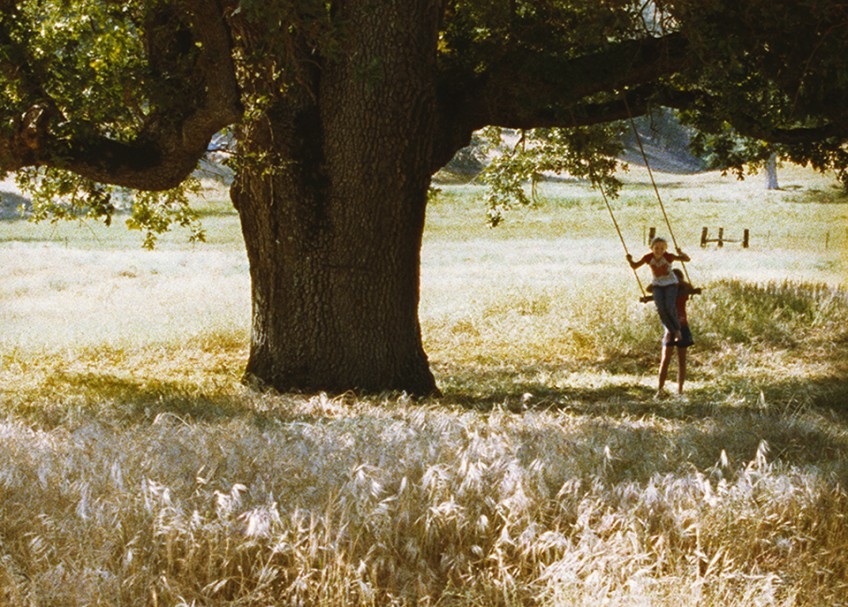 沙龙洛克哈特，松林，2005年。电影仍然。©Sharon Lockhart。礼貌艺术家和格拉德斯通画廊，纽约和布鲁塞尔